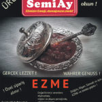 SemiAy